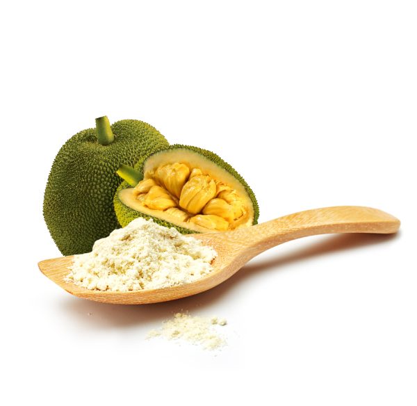 Jackfruit Powder
