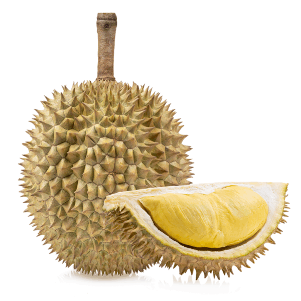 Fresh Monthong Durian