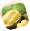 fresh-fruit.png